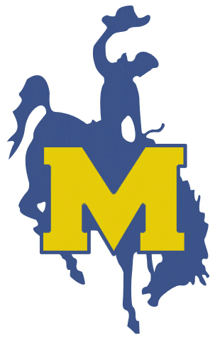 McNeese State Cowboys 1987-2003 Primary Logo diy fabric transfer